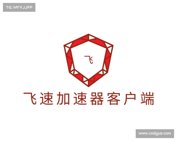 介绍飞速加速器客户端